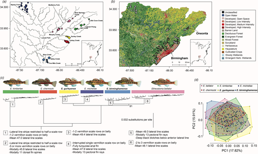 アラバマ州で2種の新魚類を発見、すでに絶滅の危機に瀕している(Yale scientists find two new fish species in Alabama streams ― and they’re already imperiled)