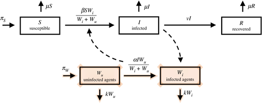 Adapted SIR compartmental diagram. This depicts a standard SIR style compartmental model with the added compartments (shaded) corresponding to the W.A.I.T. environment. Note the dynamical properties of the Wi and Wu compartments. (Online version in colour.) Refer to the image caption for details.