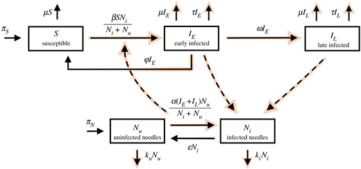 HCV compartmental diagram. Red arrows highlight flow of disease through the system, and where there is a colour/transparency gradient there is a flow of infection away from an infected compartment towards an uninfected one. (Online version in colour.) Refer to the image caption for details.