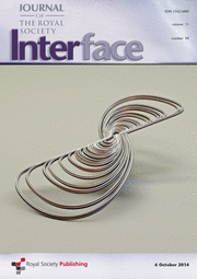 Kenneth Rietkerk Model Pattern selection and hysteresis in the Rietkerk model for banded ...