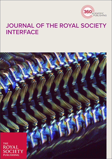 Metachronal rowing provides robust propulsive performance across four ...
