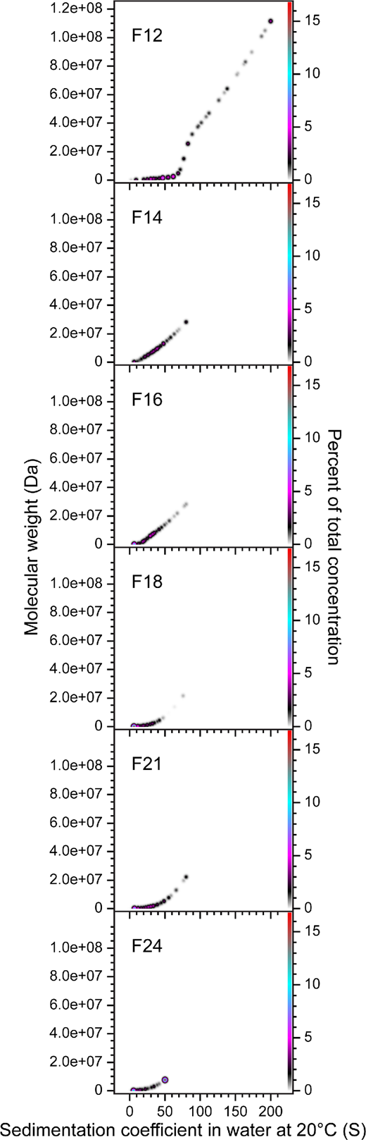 Sedimentation velocity analytical ultracentrifugation reveals that size exclusion chromatography fractionation of AdhE is only partial