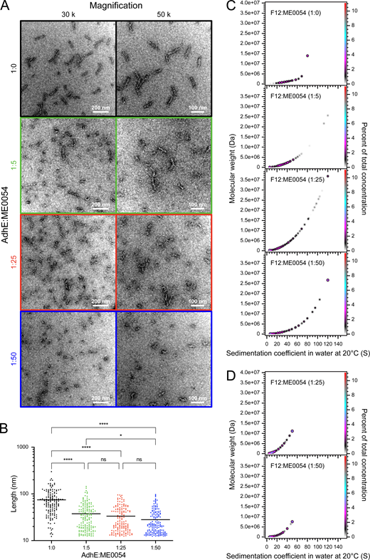 ME0054 binds to AdhE spirosomes and perturbs them in a concentration dependent manner