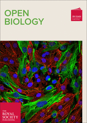 Lom2 LMO2 at 25 years: a paradigm of chromosomal translocation proteins ...