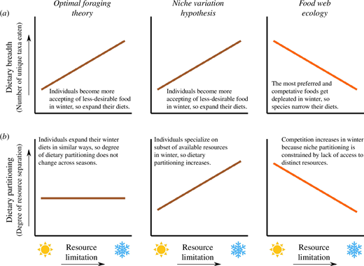 共存する動物たちは、どうやって食べるものを見つけているのか?生物学者がイエローストーンの採食習慣を解明(How do coexisting animals find enough to eat? Biologists unlock insights into foraging habits in Yellowstone) 共存する動物たちは、どうやって食べるものを見つけているのか?生物学者がイエローストーンの採食習慣を解明(How do coexisting animals find enough to eat? Biologists unlock insights into foraging habits in Yellowstone)