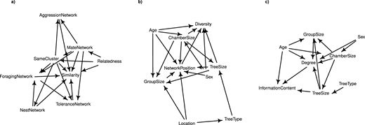 Directed acyclic graph of variables potentially influencing