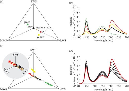 Chromaticity diagrams and the corresponding colour spectra of the backgrounds (a,b), and the discs (c,d). The colour loci depend on their relative excitation of the SWS, MWS and LWS cones. The quantum catch of the UVS cone is negligible and not shown. The relative positions of the background colours are shown in (a) with the receptors adapted (equation (2.3)) to the grey background (neutral point at the diagram centre). Background spectra (b) are; red (red line), medium red (dashed light-red line), yellow (yellow line), grey (thick black line) and green background (green dotted line). Colour loci of discs (c) are colour coded according to which background they appear on. In panel (c), receptor adaptation brings the background colour to the neutral point so that the relative positions of the disc colour loci shift. The inset in panel (c) shows a magnified view of the crowded region at the centre of the diagram. The set of disc colour spectra (d) were the same for tests on all backgrounds, except for a small ‘red tint’ added to the unsaturated disc used in the detection task (grey star in (c) and grey line in (d)). In panel (d), the saturation of the red colours of the discs correlates with decreasing amplitude in the spectra at 550 nm, and the thick red line indicates the reinforced disc colour. Data on colour spectra are given in the electronic supplementary material.