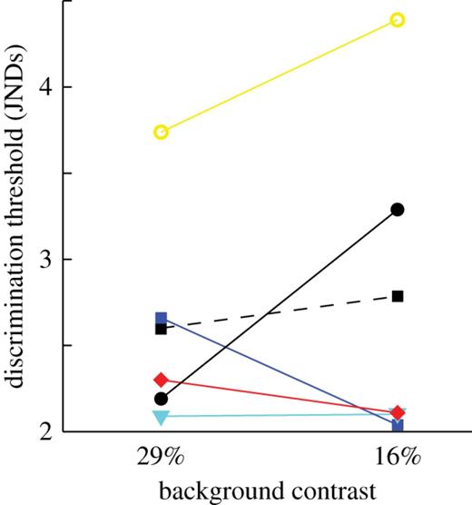 The discrimination thresholds for five individual zebra finches (w60, yellow circles; y77, blue squares; w51, red diamonds; y82, black circles and b35, cyan triangles) on a grey and a bright grey background with Michelson contrast of 29% and 16% against the rewarded stimulus. There is no difference in average threshold (black squares) between the conditions (Wilcoxon, rank sum = 29, p = 0.84). Log10 quantum catch of double cones for the backgrounds are 13.15 and 13.28 (32.5 cd m−2 and 42.9 cd m−2).