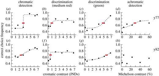 Psychometric functions (dashed lines) fitted to behavioural data from two zebra finches, y77 (a–d) and y82 (e–h). Filled circles represent the correct choice frequencies for 30 trials and red bars indicate thresholds at 66.7% (see Material and methods). Figures with psychometric data from all birds and at all conditions can be found in the electronic supplementary material.
