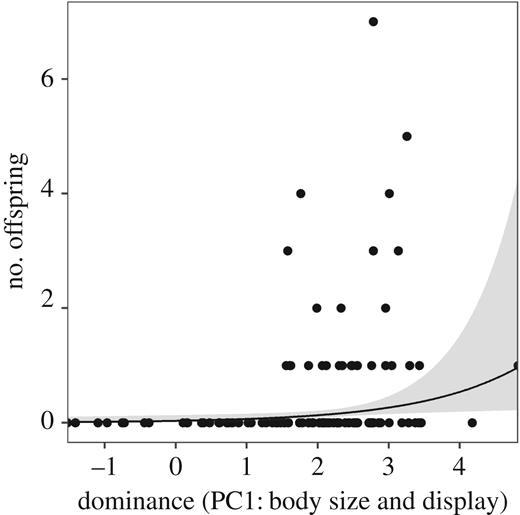 Effect of male body size, represented by a principal component accounting for body size and frequency that they displayed dominance behaviours, on reproductive success (number of survived offspring). The graph shows fitted lines (model predictions, black line) with 95% confidence intervals (shaded area). Observations are solid dots. Dominant males tend to have better reproductive outcomes. Refer to the image caption for details.