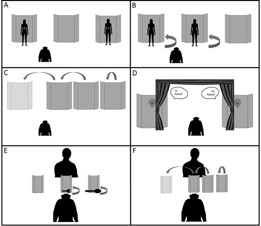 類人猿にとって、目に見えないものは心から消えるわけではない(For apes, out of sight isn’t out of mind)