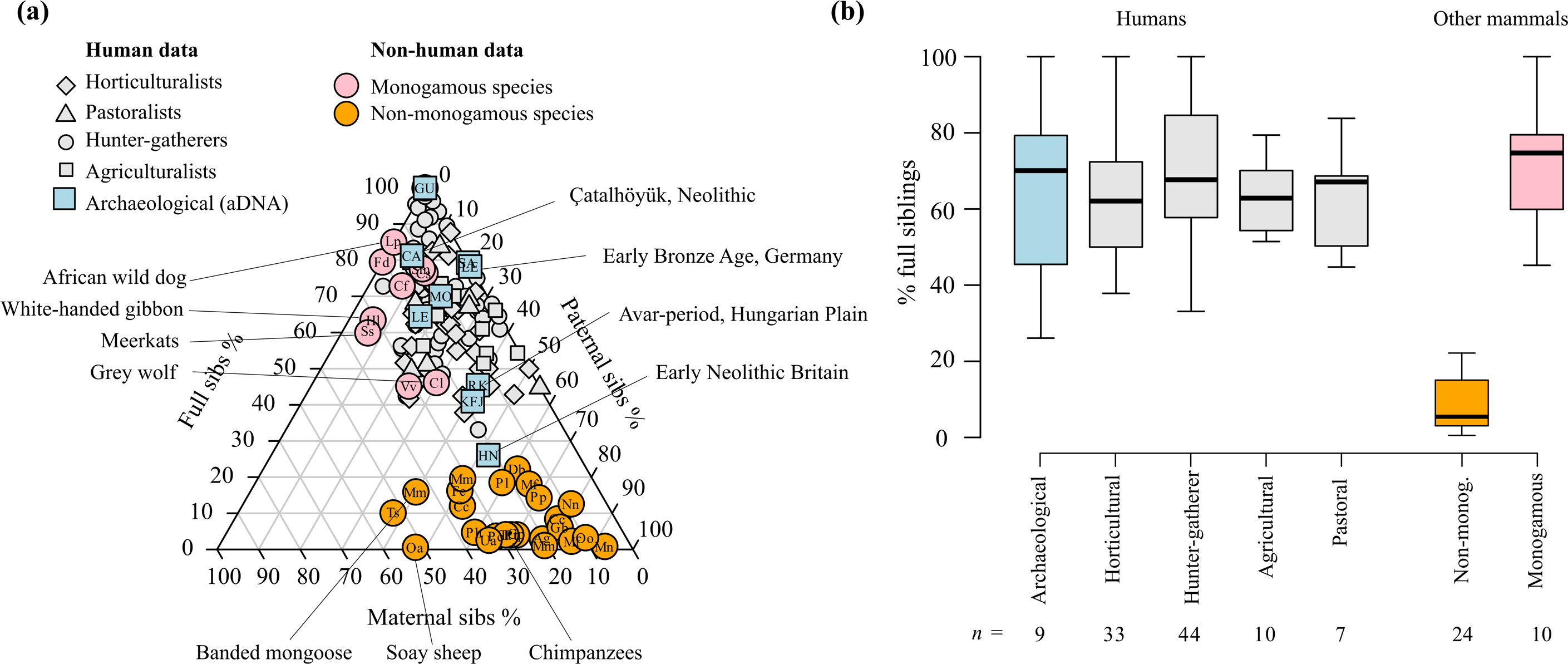 ヒトは「一夫一婦制のリーグ表」でミーアキャットとビーバーの中間に位置する(Humans rank between meerkats and beavers in monogamy ‘league table’) ヒトは「一夫一婦制のリーグ表」でミーアキャットとビーバーの中間に位置する(Humans rank between meerkats and beavers in monogamy ‘league table’)