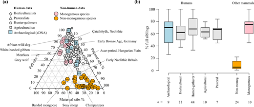 Human sibling proportions in mammalian context. (a) Ternary plot showing the proportion of full siblings, maternal half-siblings and paternal half-siblings across the sample of human societies and non-human species. (b) Boxplot showing the proportion of full siblings across the sample of human and non-human species. Boxplots show median values, 50th percentile values (box outline) and range (whiskers). Colours correspond to ancient human data (blue), ethnographic human data (grey), non-monogamous non-human mammals (orange) and monogamous non-human mammals (pink). Letters in circles are abbreviated species names (e.g. Oa = Ovis aries, Soay sheep, see electronic supplementary material, tables S3 and S4, noting that some species share the same abbreviation). Letters in squares identify the data from archaeological sites (electronic supplementary material, table S1).