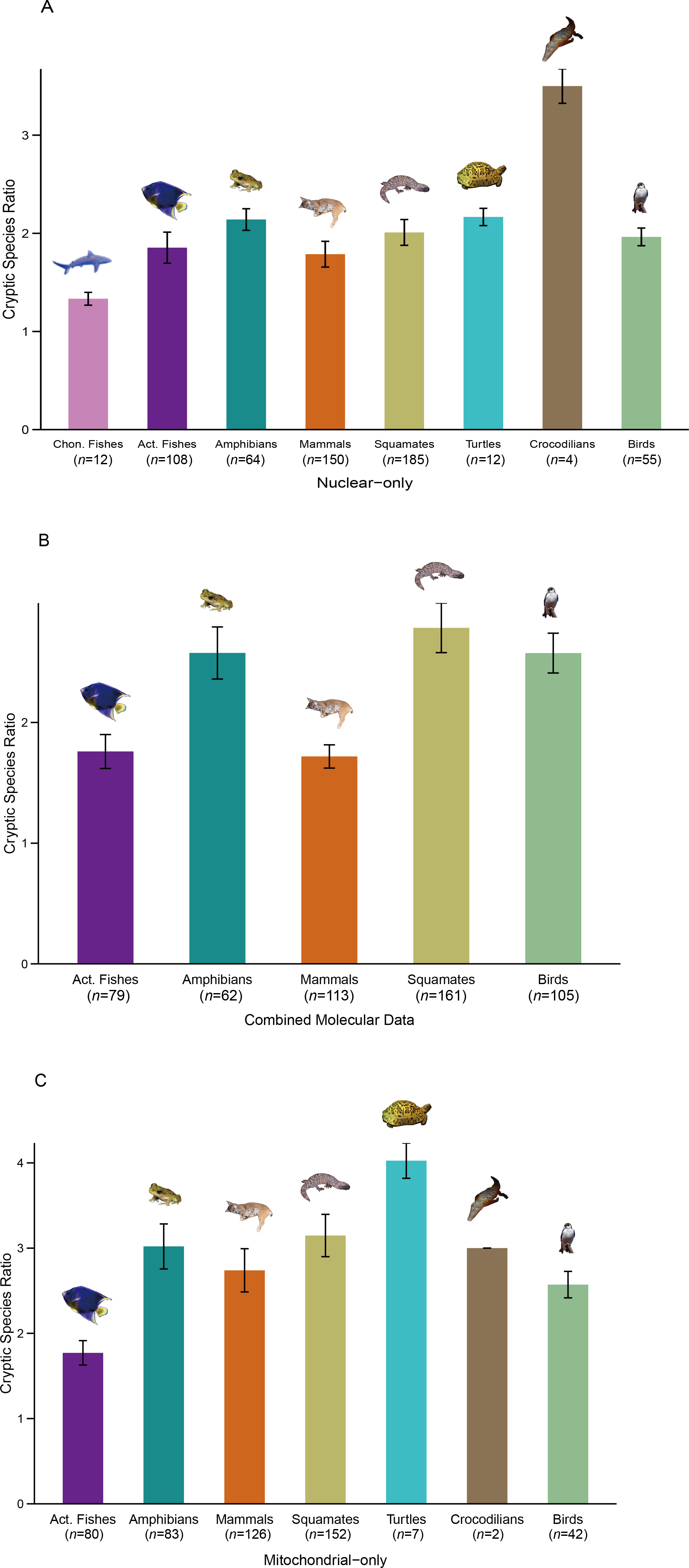 地球上の脊椎動物種は従来推定の2倍の可能性（Study finds Earth may have twice as many vertebrate species as previously thought）
