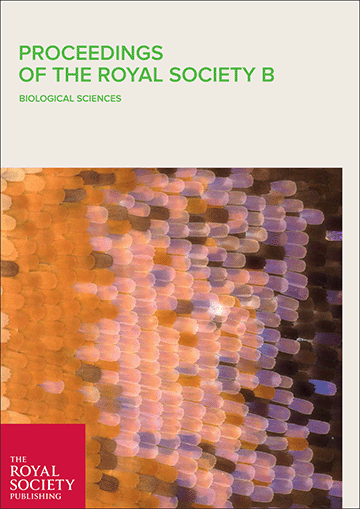 Did modern human carpal morphology evolve from knuckle walking traits?