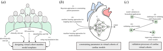 Process of creating a virtual cohort. (a) Defining a template model structure for the members of the cohort, (b) constraining the parameters for the members of the virtual cohort and, (c) validating the models representing specific individual patients and the virtual cohort. (Online version in colour.) Refer to the image caption for details.