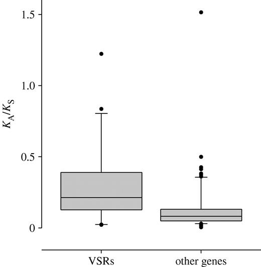 The evolutionary rate of VSRs in positive sense ssRNA plant viruses. The rate of protein evolution (KA, non-synonymous sites) relative to the rate of neutral evolution (KS, synonymous sites) for genes taken from 17 closely related pairs of ssRNA plant viruses. For viral suppressors of RNAi (VSRs) mean KA/KS=0.29 (n=20), and for other genes mean KA/KS=0.14 (n=72). In 14 of the 17 viruses, the rate of VSR evolution was higher than the average rate of the other genes (p<0.01, sign test). Where possible, genome pairs comprised two isolates of the same viral taxon (see the electronic supplementary material for accession details).