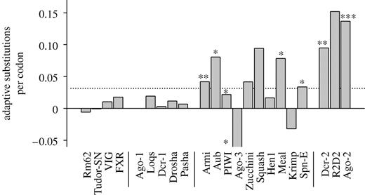 The rate of adaptive evolution in Drosophila RNAi genes. The estimated number of adaptive substitutions per codon (as opposed to neutral substitutions fixed by random genetic drift) for RNAi-pathway genes was estimated using the method of Smith & Eyre-Walker (2002). The analysis uses the D. simulans polymorphism data from Obbard et al. (2006; Ago-1, Ago-2, Dcr-1, Dcr-2, Loqs, R2D2) and Begun et al. (2007; all other genes), together with the fixed differences between these datasets and the D. melanogaster genome. Negative estimates (Ago-3 and Krimper) arise due to the relatively large number of amino acid polymorphisms in these genes. Genes with individually significant McDonald–Kreitman tests (McDonald & Kreitman 1991) are indicated by asterisks (*p<0.05, **p<0.01, ***p<0.001, no correction for multiple tests). Note that the differences in sample size mean that the power of the test varies greatly between genes (details available in the electronic supplementary material).