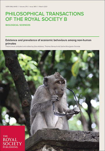 Non-human primates use combined rules when deciding under ambiguity